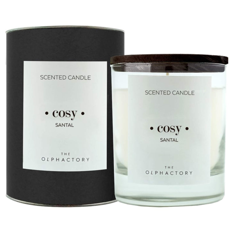 SCENTED CANDLE "COSY"